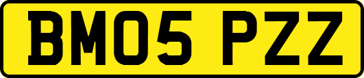 BM05PZZ
