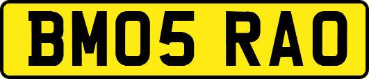 BM05RAO