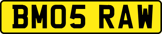 BM05RAW