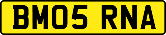 BM05RNA