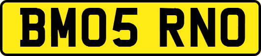BM05RNO