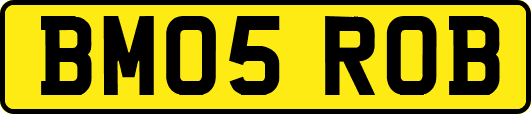 BM05ROB