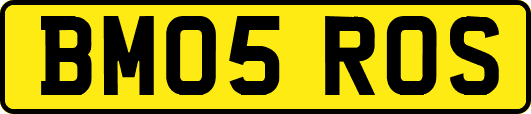 BM05ROS