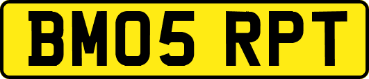BM05RPT
