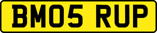 BM05RUP