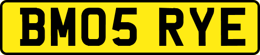 BM05RYE