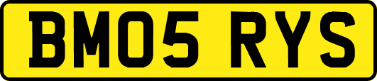 BM05RYS