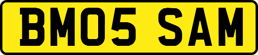 BM05SAM