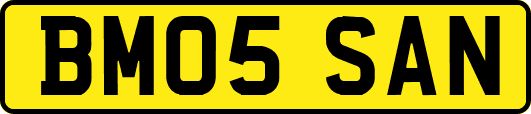 BM05SAN
