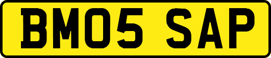 BM05SAP