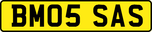 BM05SAS