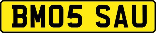 BM05SAU