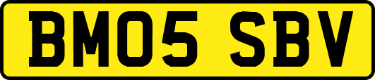 BM05SBV
