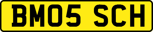 BM05SCH