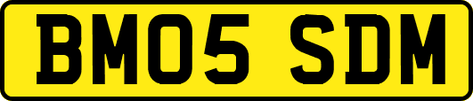 BM05SDM
