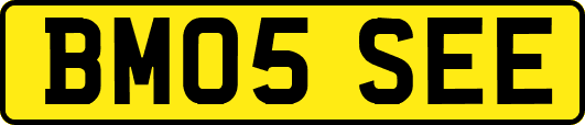 BM05SEE