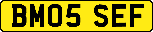 BM05SEF