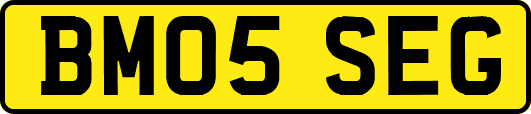BM05SEG