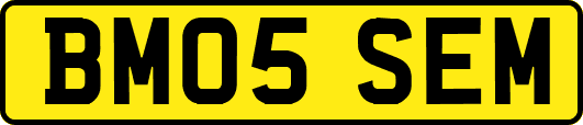 BM05SEM