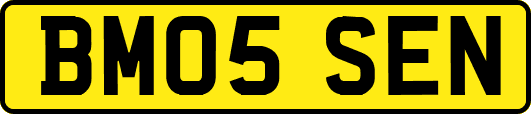 BM05SEN