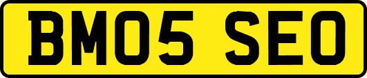 BM05SEO