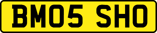 BM05SHO