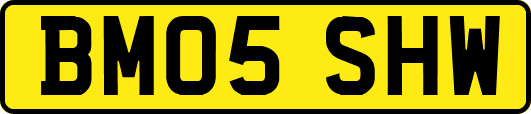 BM05SHW