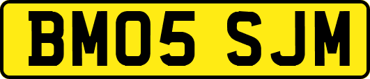BM05SJM