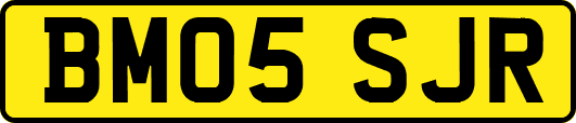 BM05SJR