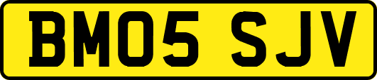BM05SJV