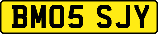 BM05SJY