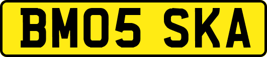 BM05SKA