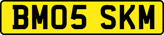 BM05SKM