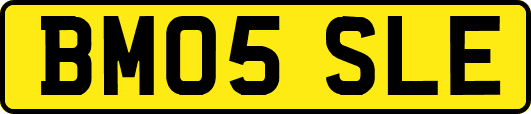 BM05SLE