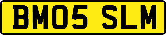 BM05SLM