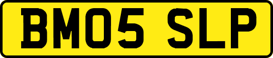 BM05SLP