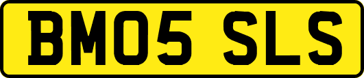 BM05SLS
