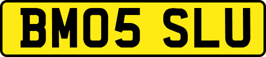 BM05SLU