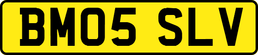 BM05SLV