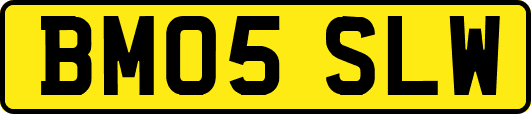 BM05SLW