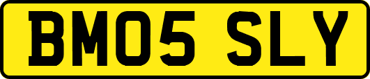 BM05SLY
