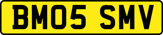 BM05SMV