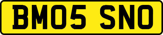 BM05SNO