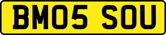 BM05SOU