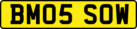 BM05SOW