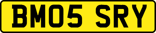BM05SRY