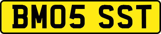 BM05SST