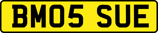 BM05SUE