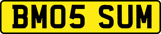 BM05SUM