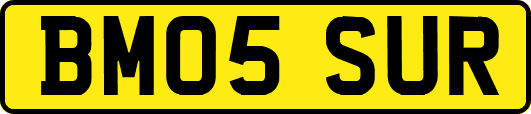 BM05SUR